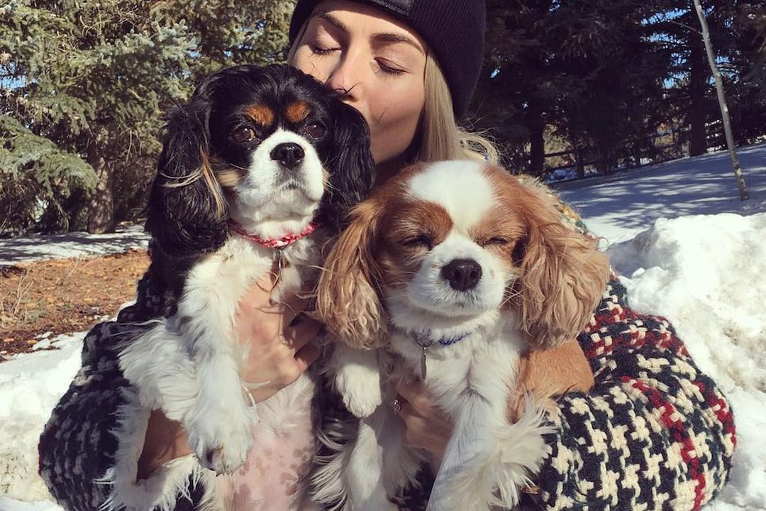 What Happened to Julianne Hough’s Dogs? Everything to Know