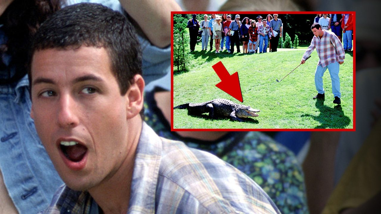 ‘Happy Gilmore’ Alligator Open To Role In Sequel